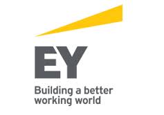 Corporate Training at EY
