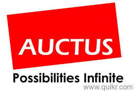  Jobs in Auctus Consulting