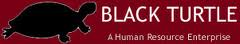 HR Consulting Jobs at Black Turtle