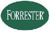 Forrester Research India Pvt Ltd